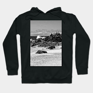 "Shags on a Rock" by Margo Humphries Hoodie